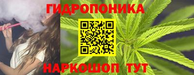 apvp Кунгур